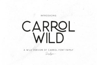 Carrol Wild: A Modern Sans Serif Font for Editorial Design