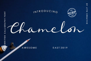 Chamelon Font for Modern Web Design