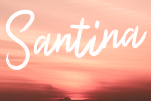 Santina: A Script Font for Modern Branding