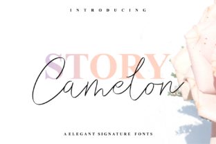 Story Camelon Font for Modern Web Design